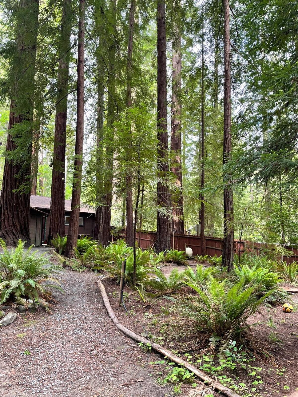 The Groves At Redway Beach - Studio Exterior foto